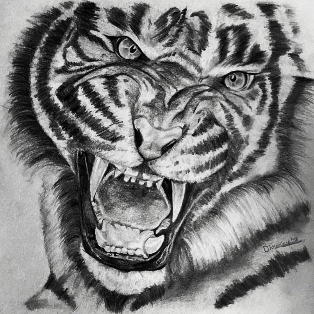 Live Portrait